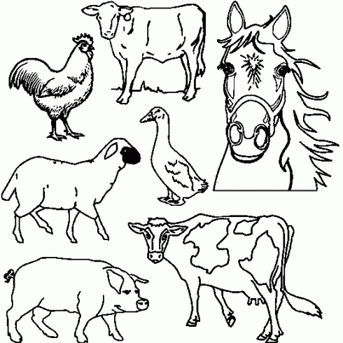 dessin de animauw,ferme,cochon,vache,mouton