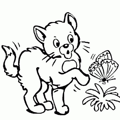 dessin de coloriage,animaux,dessin,chat,papillon