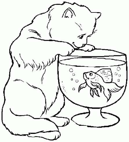 dessin de coloriage,chat,regarde,poisson,bocal