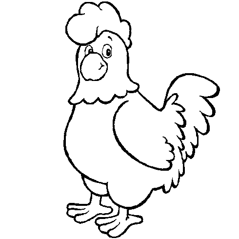 dessin de coloriage,poule,poulet,coq,coquelet