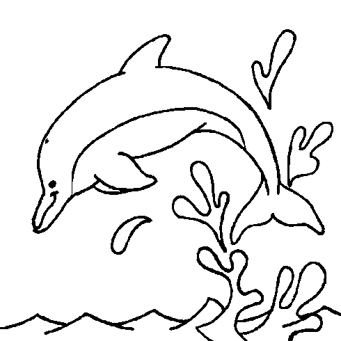 dessin de dauphin,saut,mer,vacances,ete