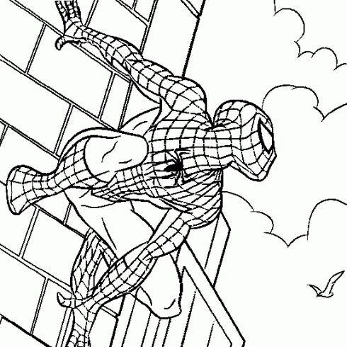 dessin de dessin,de,Spiderman,a,colorier