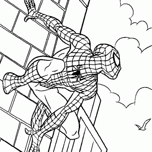 Spiderman on Ce Dessin De Heros    Colorier Avec Des Dessins De Dessin De Spiderman