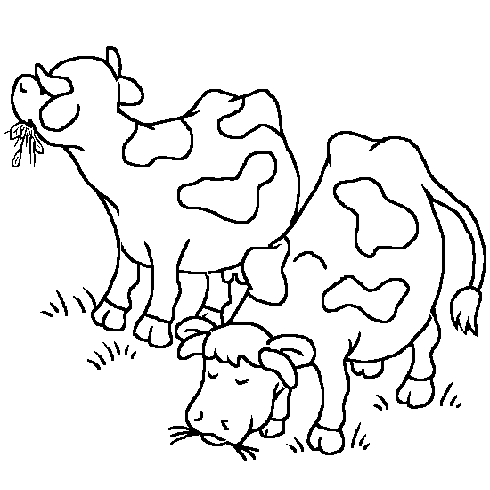 dessin de vache,coloriage,animaux,ferme,dessin