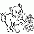 Un trs jolis dessin de chat qui s'amuse avec un papillon  colorier. Sur ce dessin tu pourras colorier un chat et un papillon qui se pose sur une fleur. Un joli coloriage d'animaux avec ce chat et ce papillon.