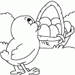 un dessin de pques  colorier avec un poussin et un panier rempli dufs en chocolat. Les plus beaux dessins de pques sont ici