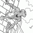 Un nouveau dessin de Spiderman  colorier en ligne. Sur cette image l'homme araigne est accroch  un gratte ciel et il est prt  sauter en dployant ses toiles. Bon coloriage de Spiderman.