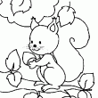 coloriage animaux - tags: ecureuil,branche,arbre,mange,noisette