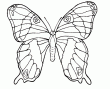 Quoi de plus joli qu'un petit papillon  colorier en ligne? Tu peux aussi choisir de l'imprimer ce dessin de papillon. Ce qui est sur c'est que c'est toi qui choisiras les couleurs  utiliser pour colorier en ligne ce papillon.