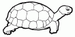 Voici une jolie petite tortue que tu peux t'amuser  colorier! N'oublies pas que si tu te trompes ce n'est pas grave, tu n'as qu' appuyer sur la gomme pour recommencer ton dessin